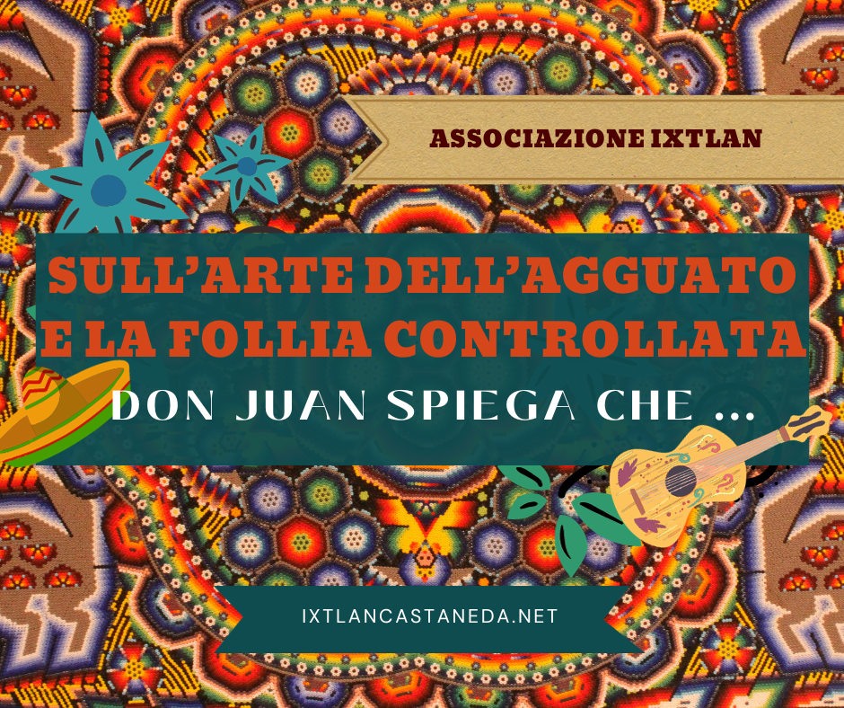 Sull’Arte dell’Agguato e la Follia&nbsp;Controllata