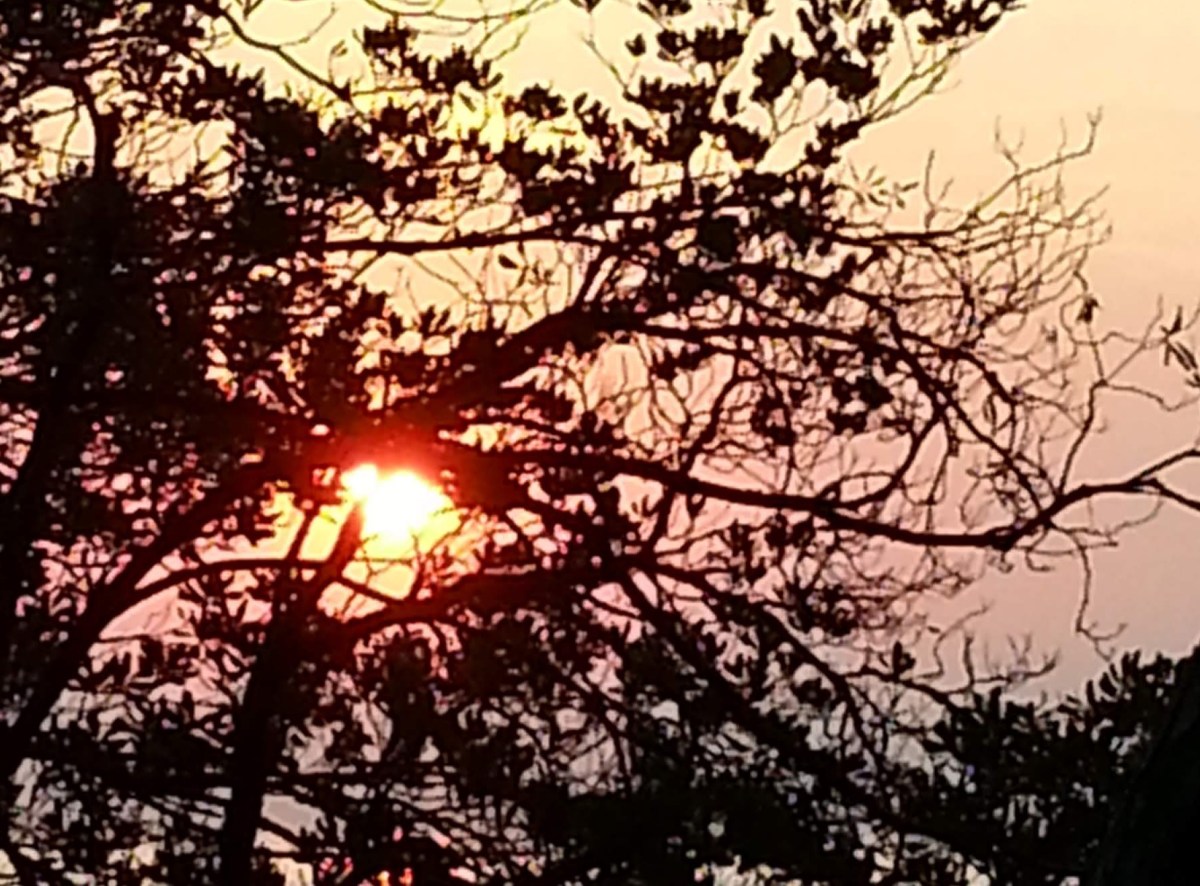 Preservare l’energia